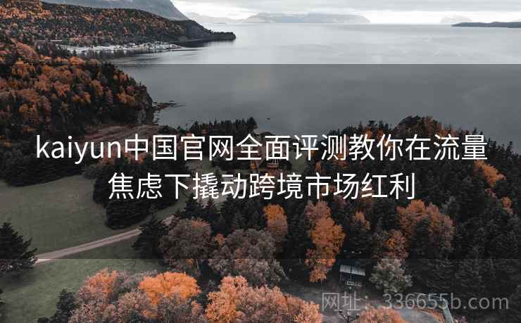kaiyun中国官网全面评测教你在流量焦虑下撬动跨境市场红利