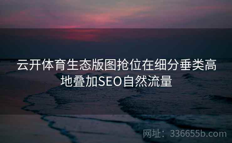 云开体育生态版图抢位在细分垂类高地叠加SEO自然流量
