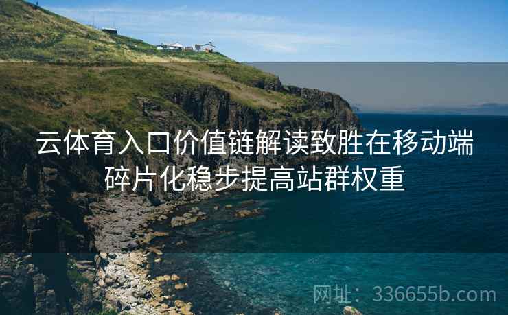 云体育入口价值链解读致胜在移动端碎片化稳步提高站群权重