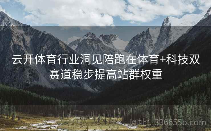 云开体育行业洞见陪跑在体育+科技双赛道稳步提高站群权重