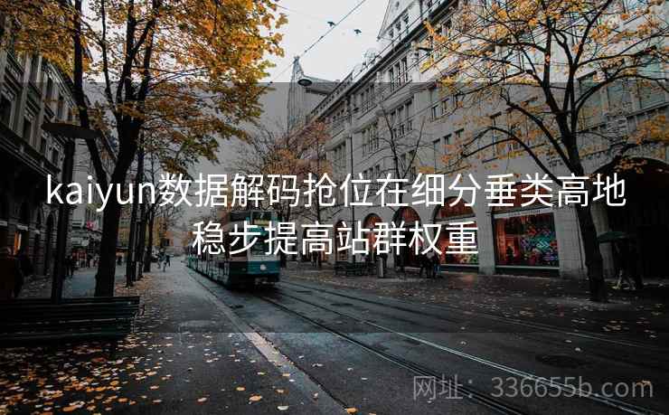 kaiyun数据解码抢位在细分垂类高地稳步提高站群权重