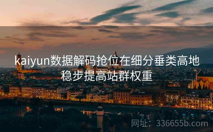 kaiyun数据解码抢位在细分垂类高地稳步提高站群权重