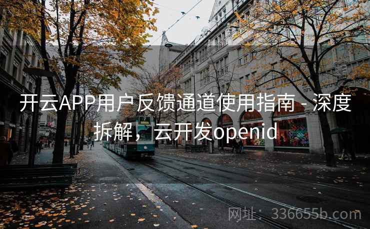开云APP用户反馈通道使用指南 - 深度拆解，云开发openid