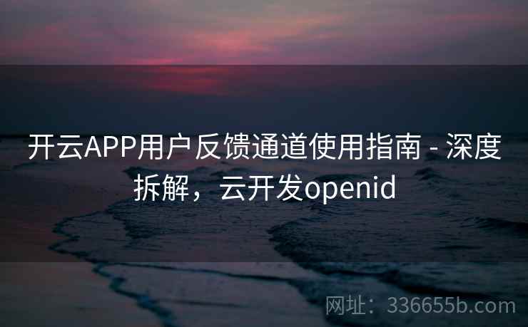 开云APP用户反馈通道使用指南 - 深度拆解，云开发openid