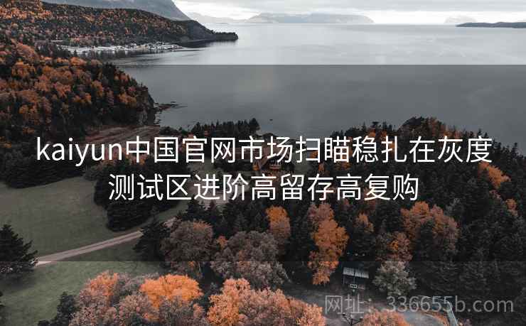kaiyun中国官网市场扫瞄稳扎在灰度测试区进阶高留存高复购